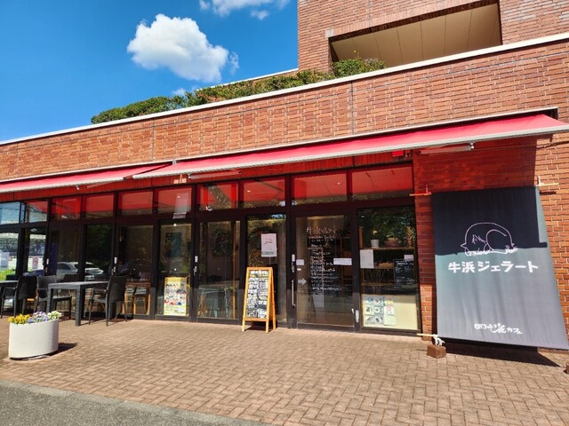 ワークプレイス画像